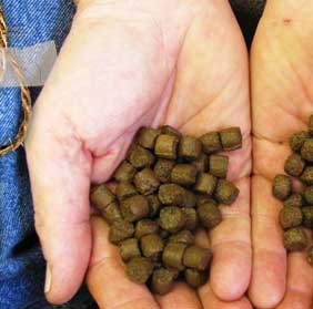 Stubby Steve's looks just like Aquamax 600 fish food